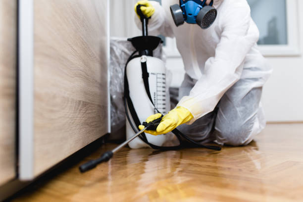 Pest Prevention Services in Cody, WY