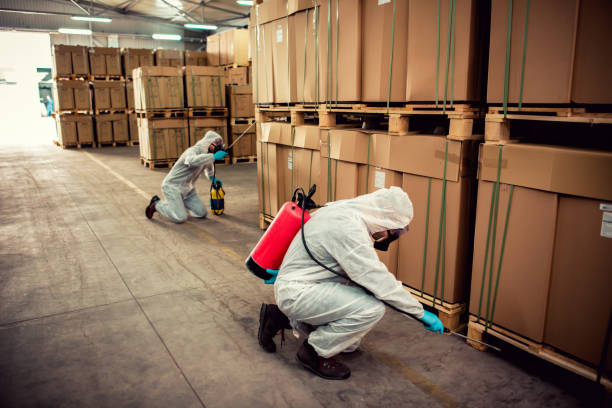 Best Residential Pest Control  in Cody, WY