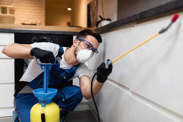 Best Pest Control Near Me  in Cody, WY