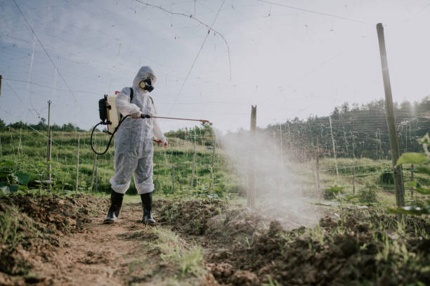 Pest Control Cost in Cody, WY