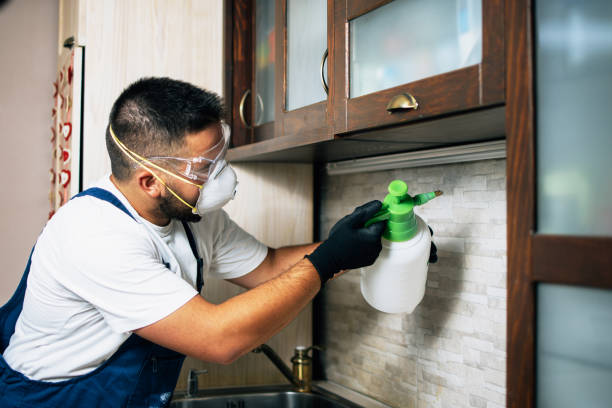 Best Pest Control Cost  in Cody, WY