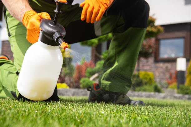 Best Pest Prevention Services  in Cody, WY