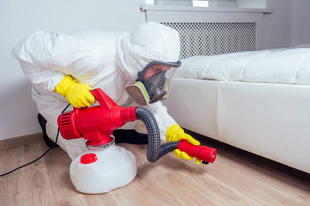 Best Mosquito Control Services  in Cody, WY