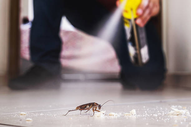 Best Wildlife Control Services  in Cody, WY