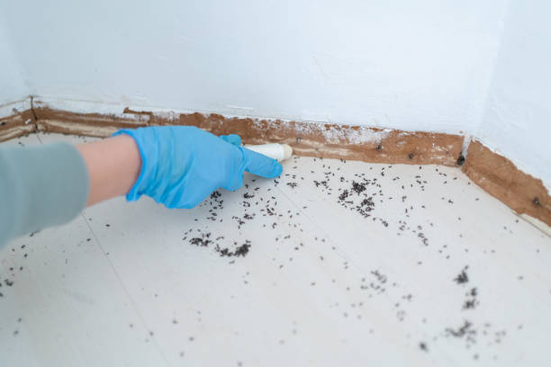 Best Wildlife Control Services  in Cody, WY